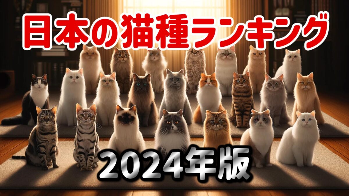 2024年版　日本の猫種ランキング