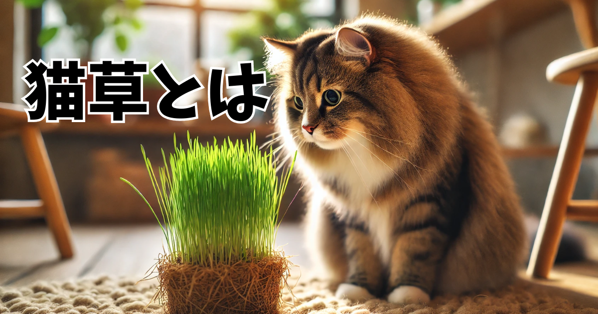 猫草とは