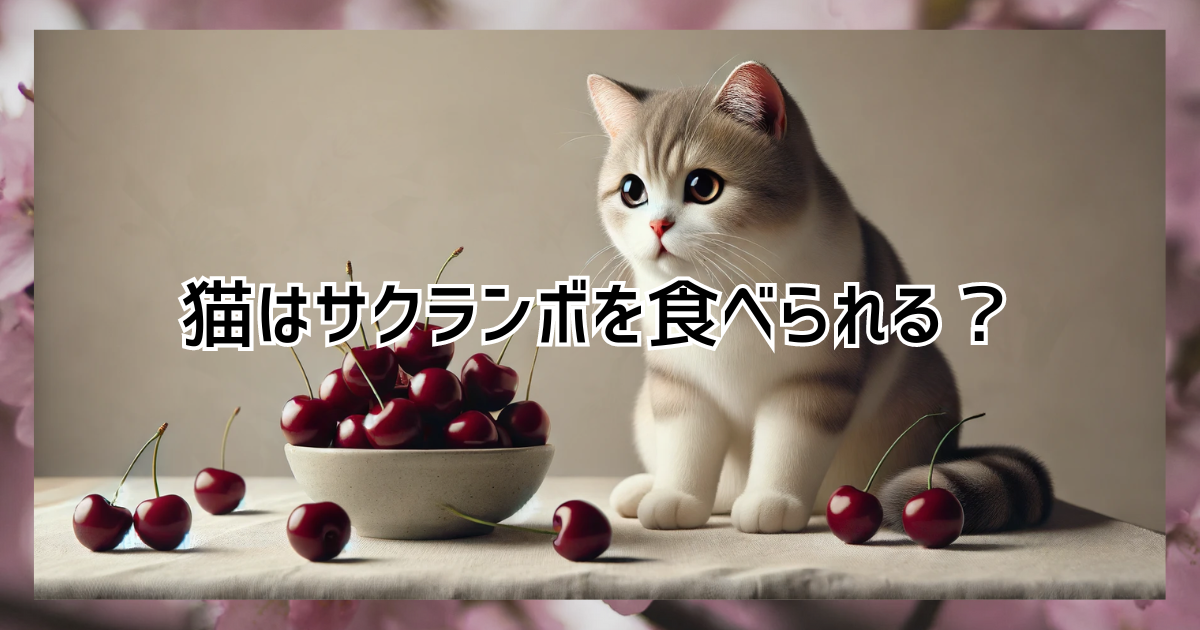 猫はサクランボを食べられる？