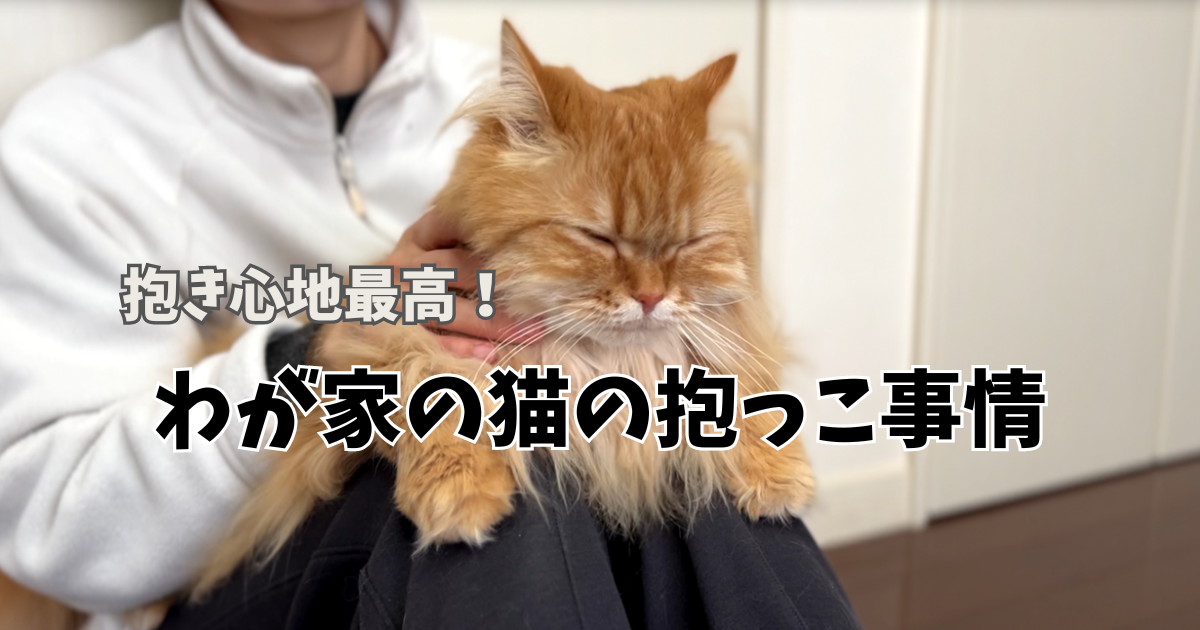 わが家の猫の抱っこ事情