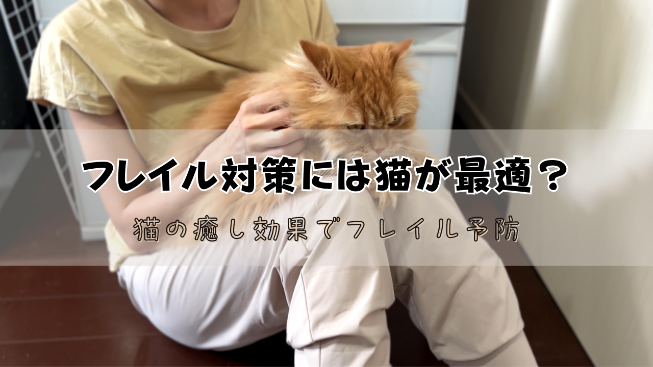 猫でフレイル対策