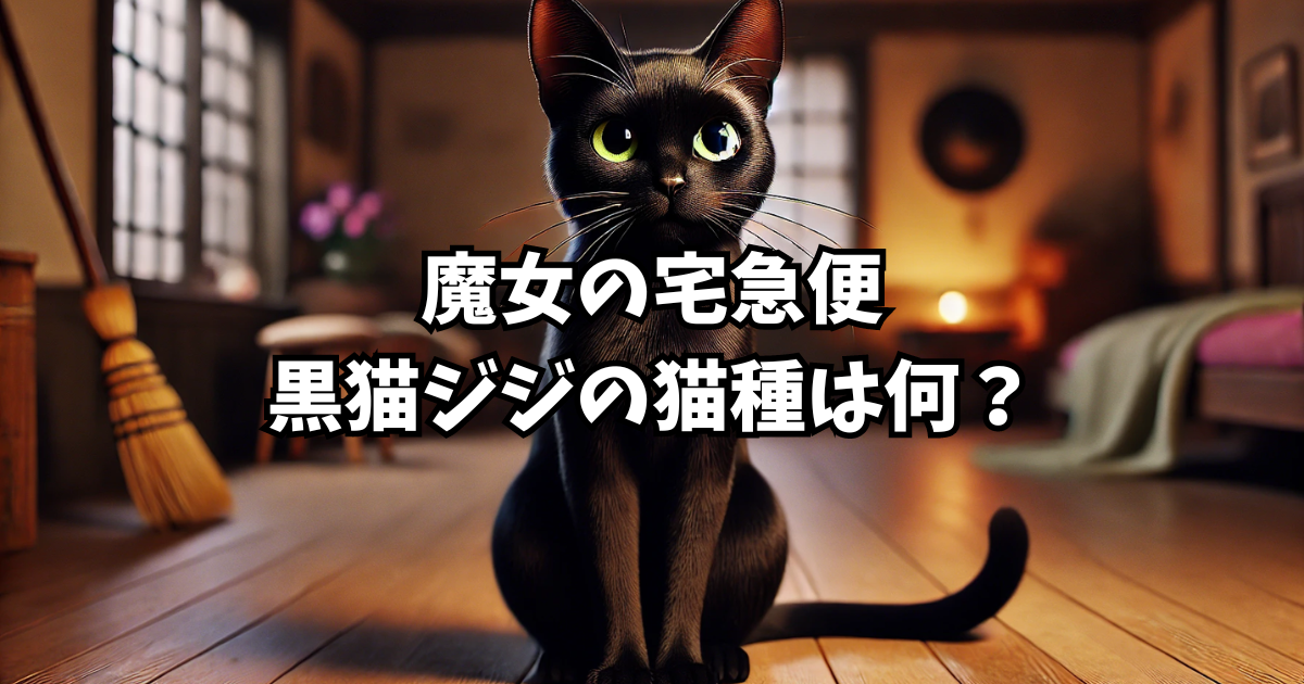 黒猫