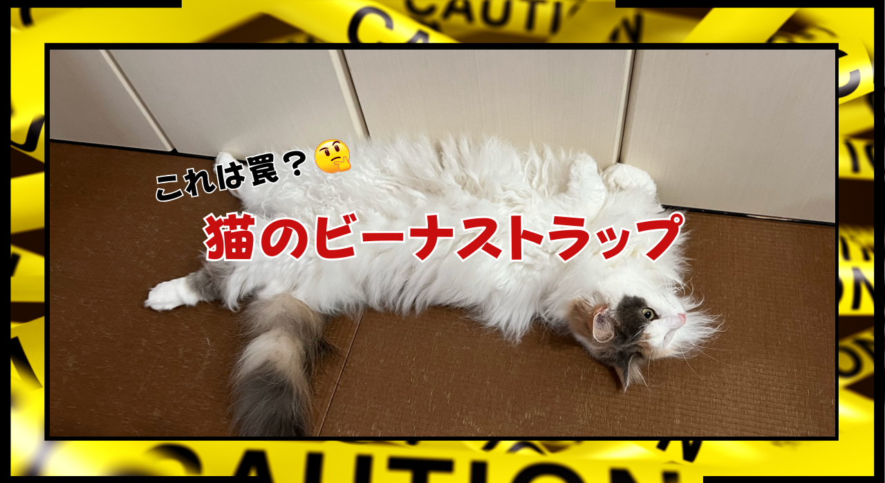 猫のビーナストラップ