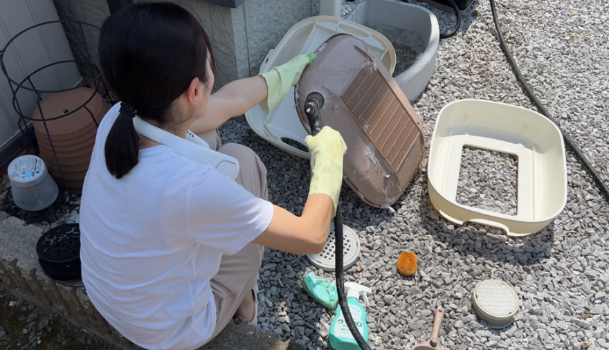 猫のトイレを洗うママ