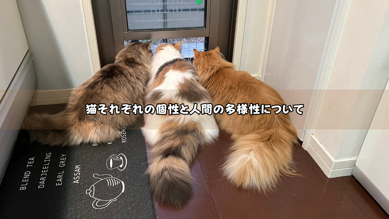 猫それぞれの個性と人間の多様性について