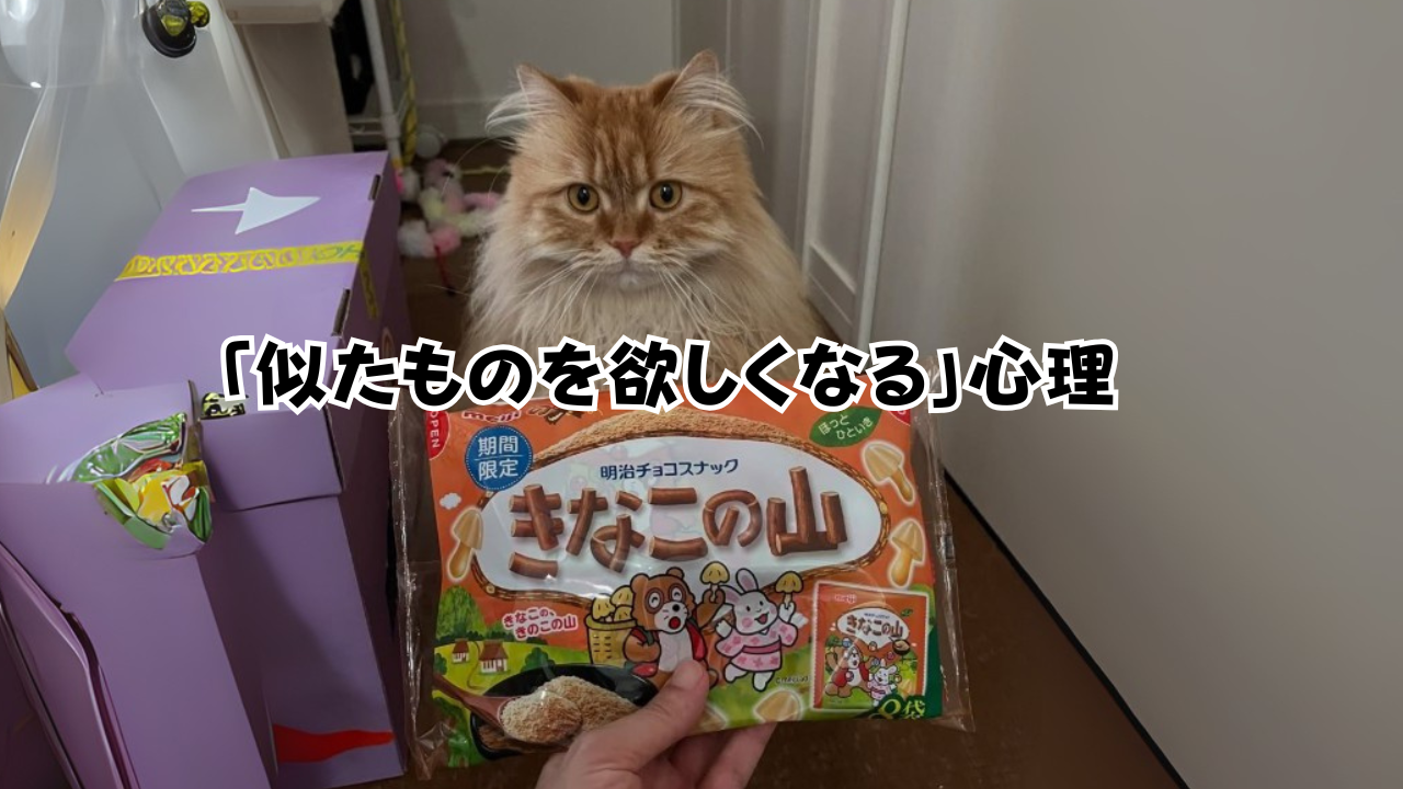 似たものを欲しくなる心理